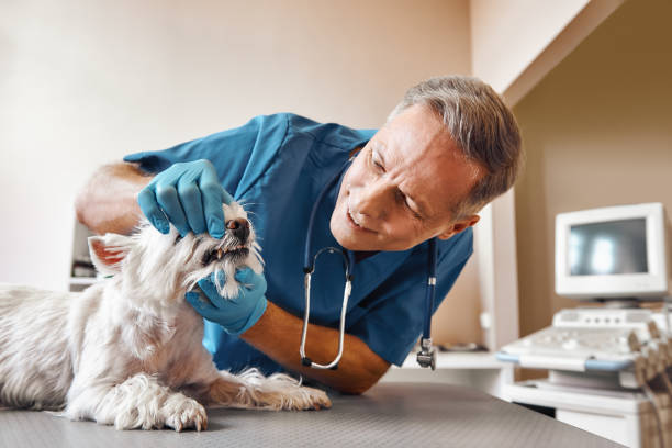 Best Emergency Root Canal Treatment in Lyles, TN